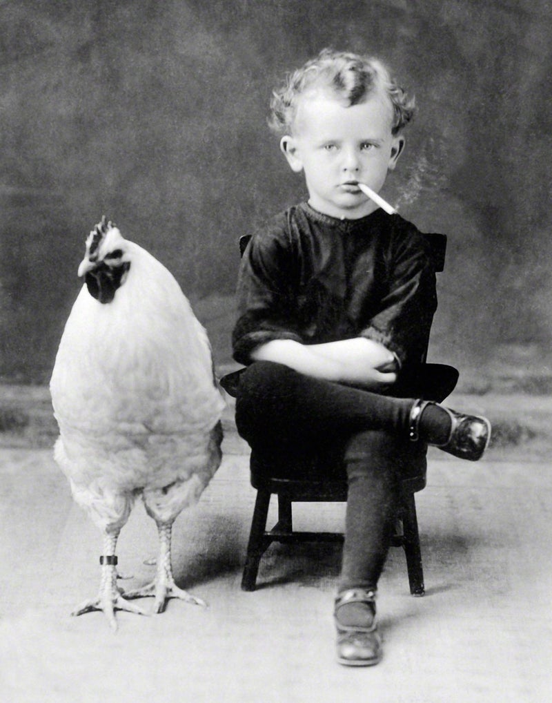 Lone Star Art Bizarre Boy with Giant Chicken Oddities and Curiosities Home Decor Poster - 11x14 Unframed Vintage Wall Art Weird Decor Print - Unusual Strange Goth Decor for Home, Bathroom Goth Room Decor - Image 4